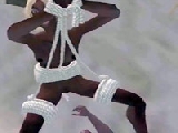 3D World BDSM